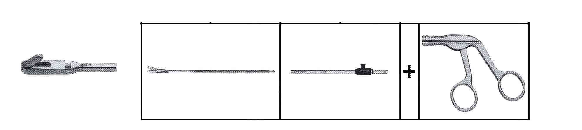 STAMMBERGER ANTRUM PANÇ